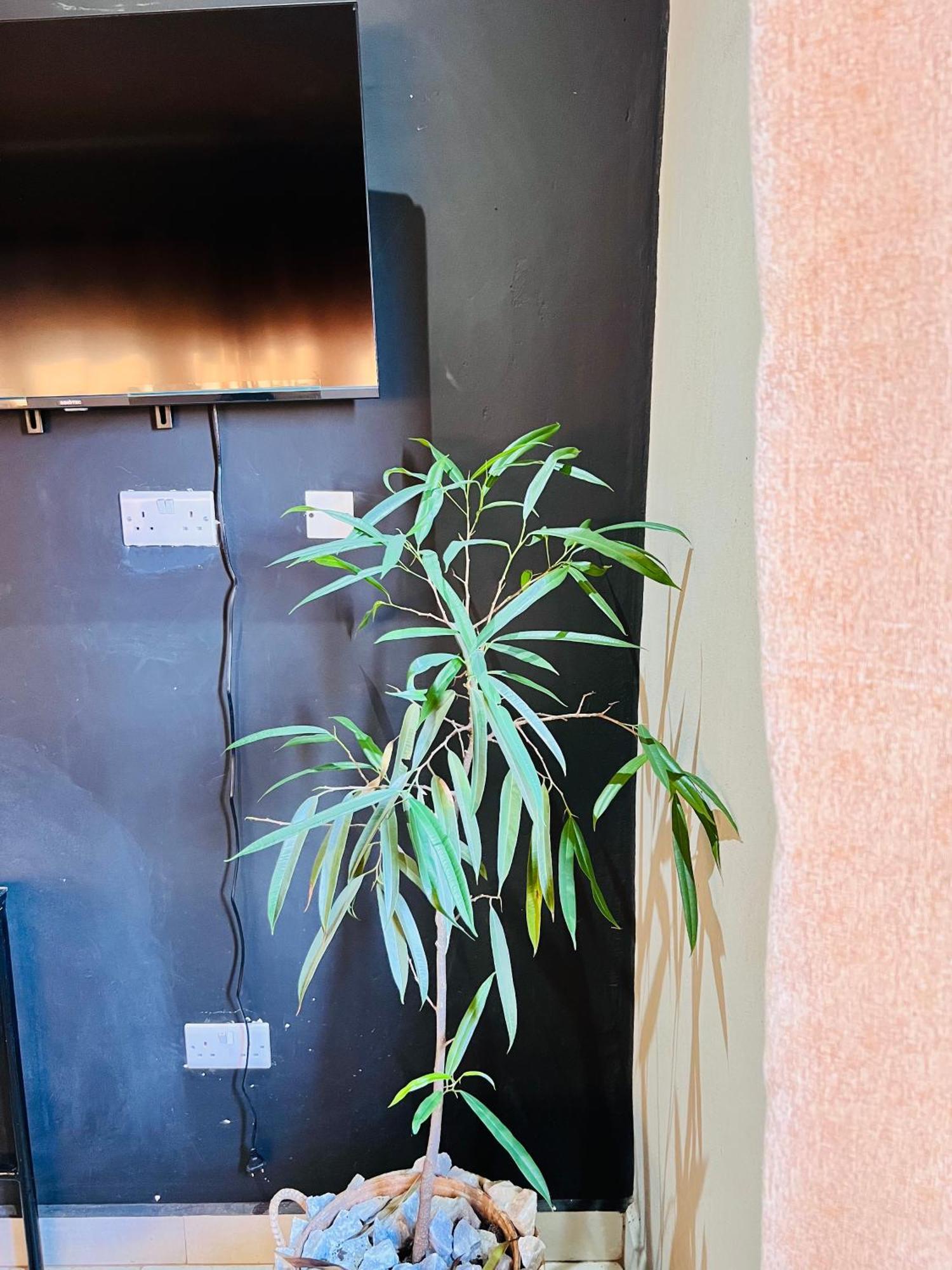 The Shed Venue & Boutique Hotel Lilongwe Exteriör bild